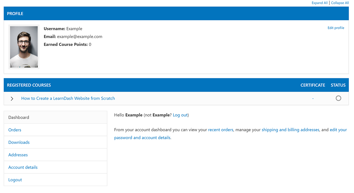 LearnDash website profile example