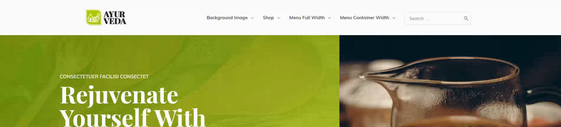 Astra Header Options