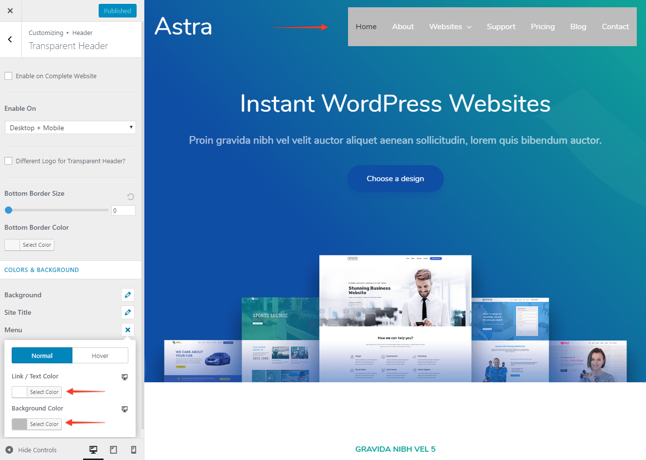 Astra Transparent Header Menu Colors