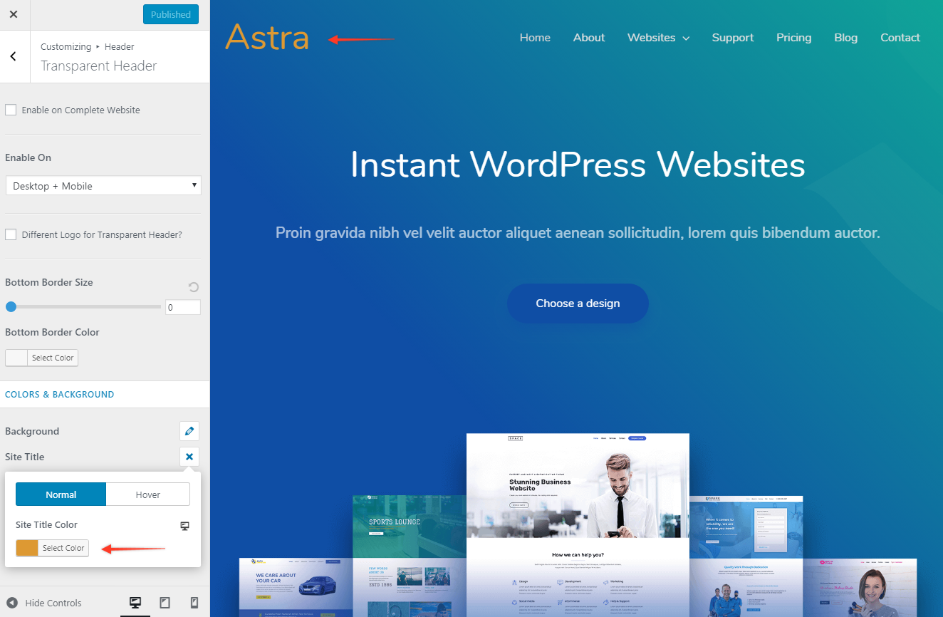 Astra Transparent Header Site Title Color
