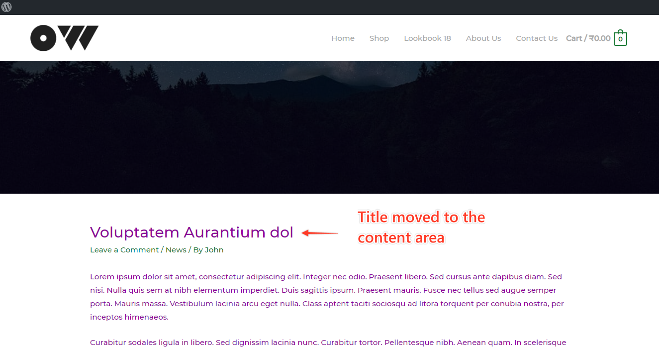 Astra Page Header Content Section