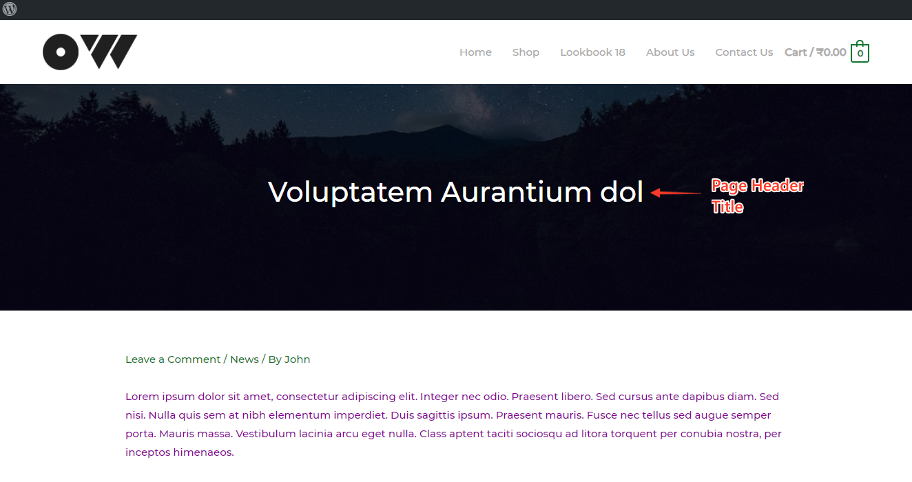 Astra Page Header Title