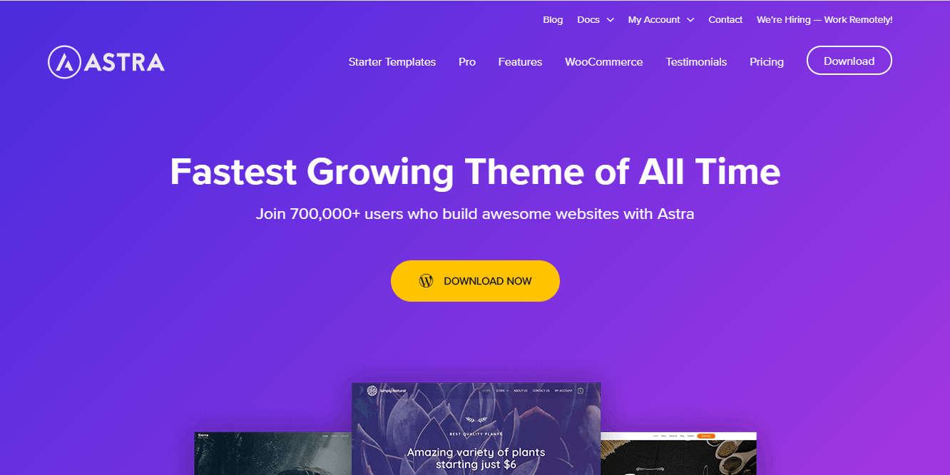 image-about-astra Astra theme homepage screenshot