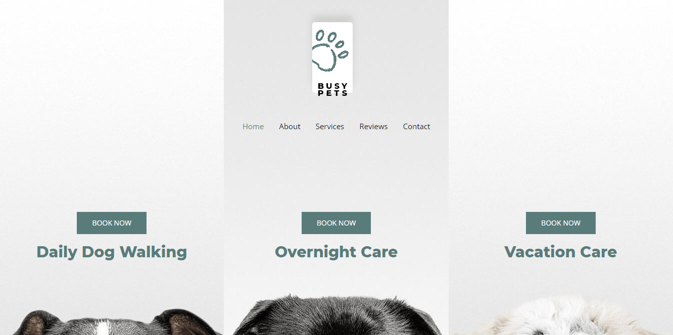 image-about-pet-care Pet Care Astra Template homepage screenshot