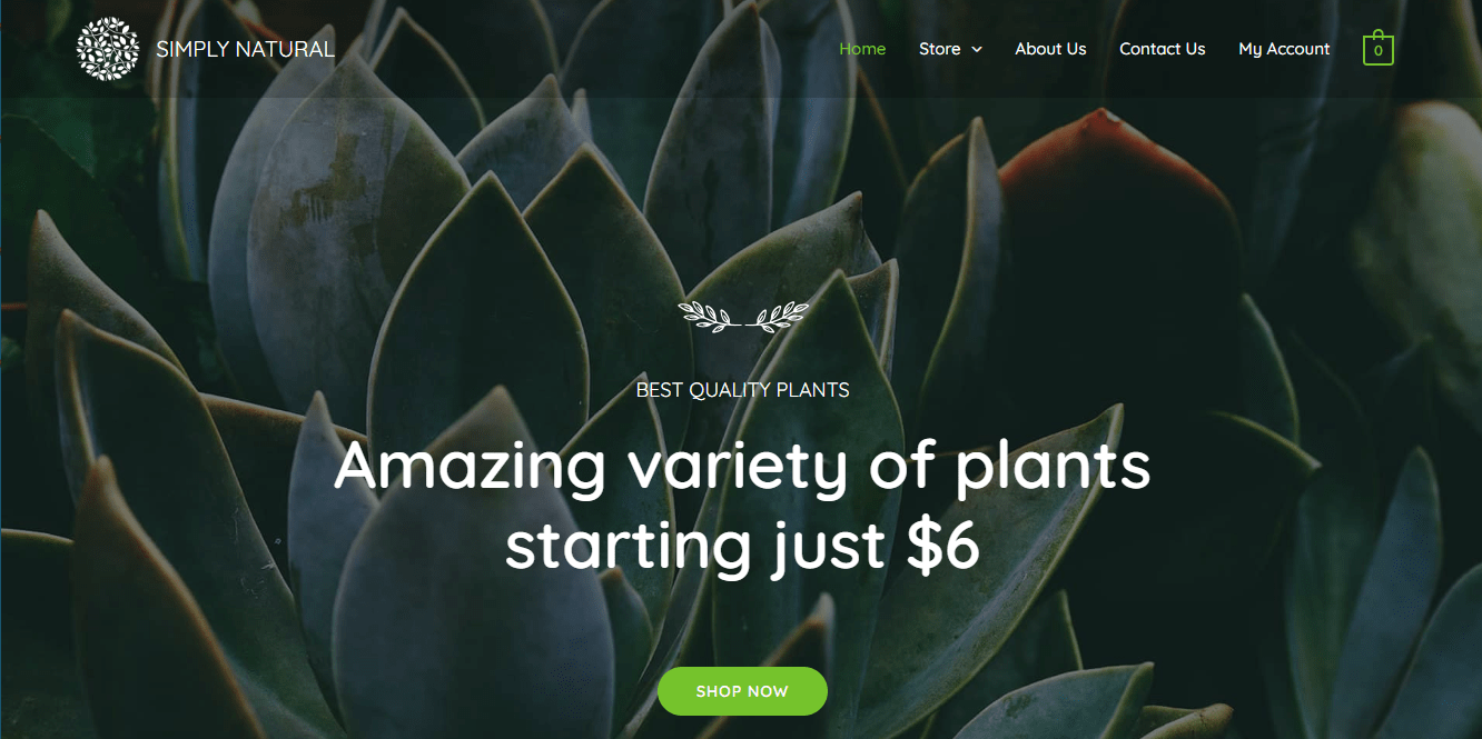image-about-simply-natural Simply Natural Astra template homepage screenshot