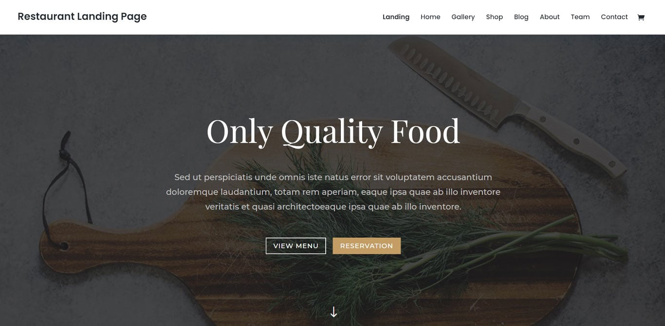Divi theme demo
