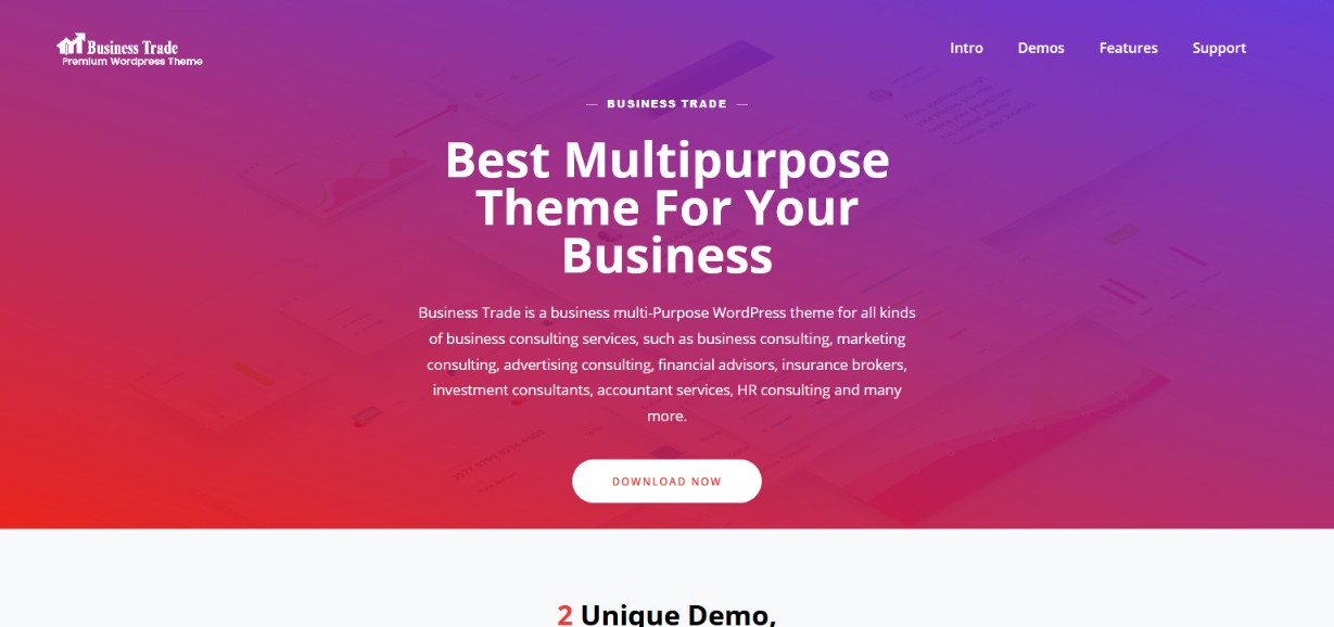 Business Themes demo site