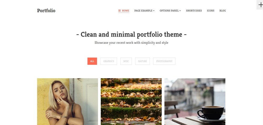 Portfolio Theme demo site