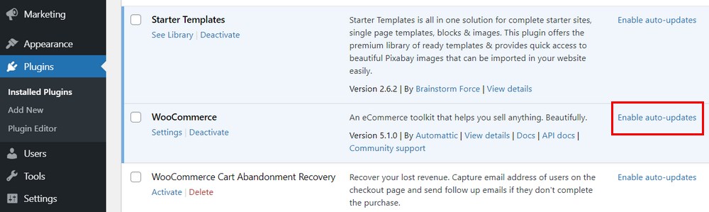 WordPress disable auto update
