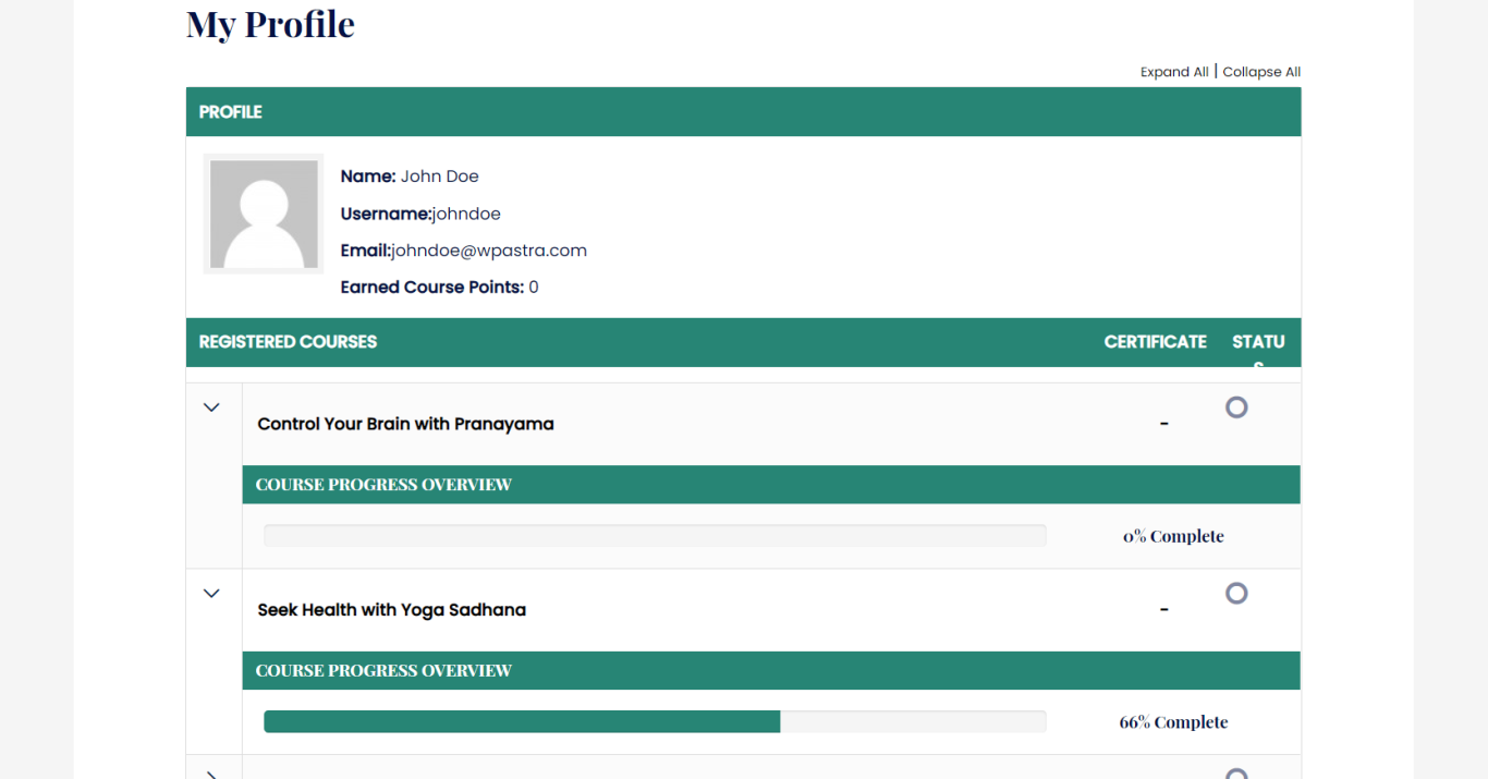 Astra LearnDash Profile