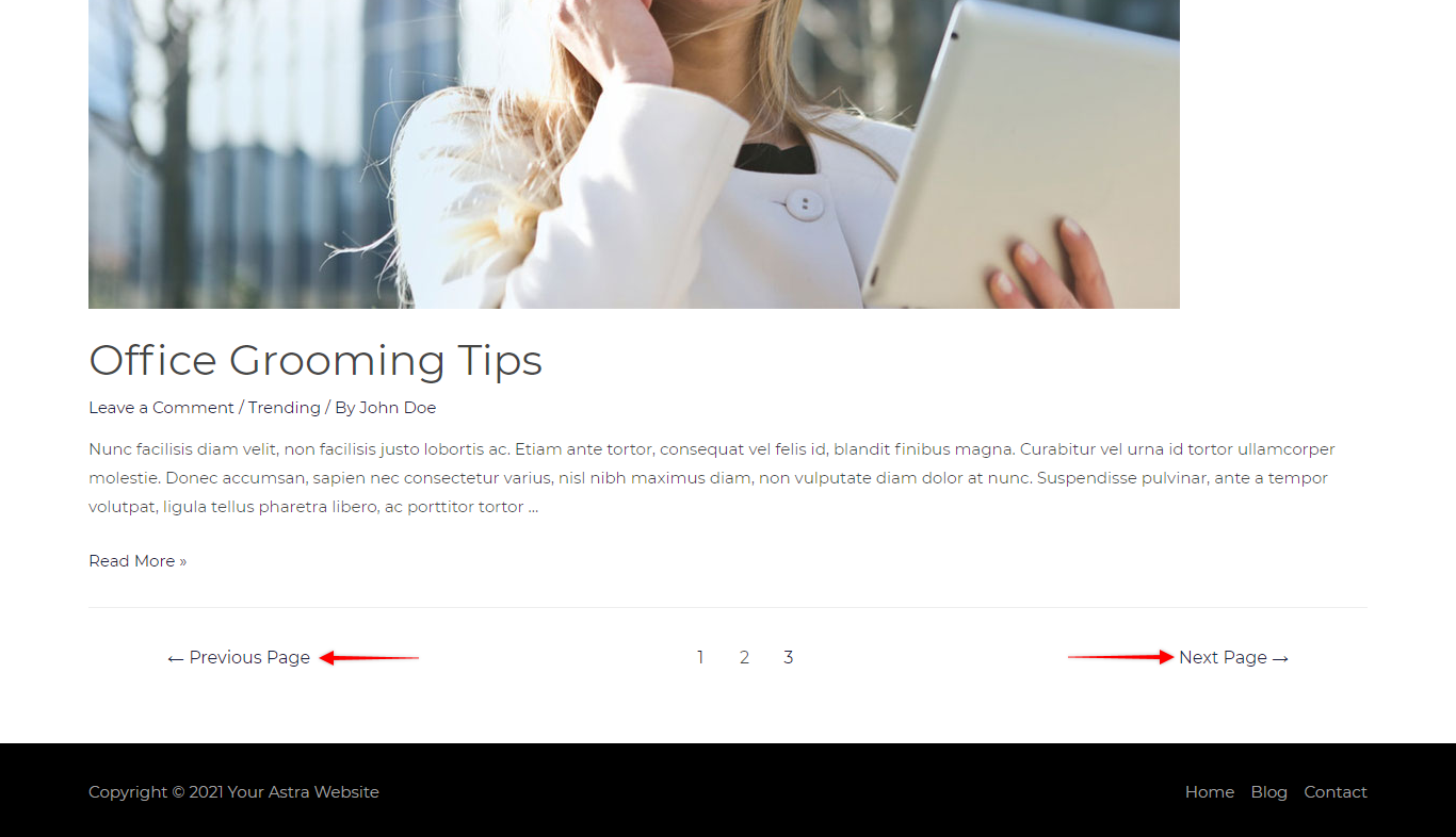 Blog Archive Navigation Links