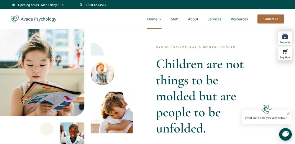 avada booking theme