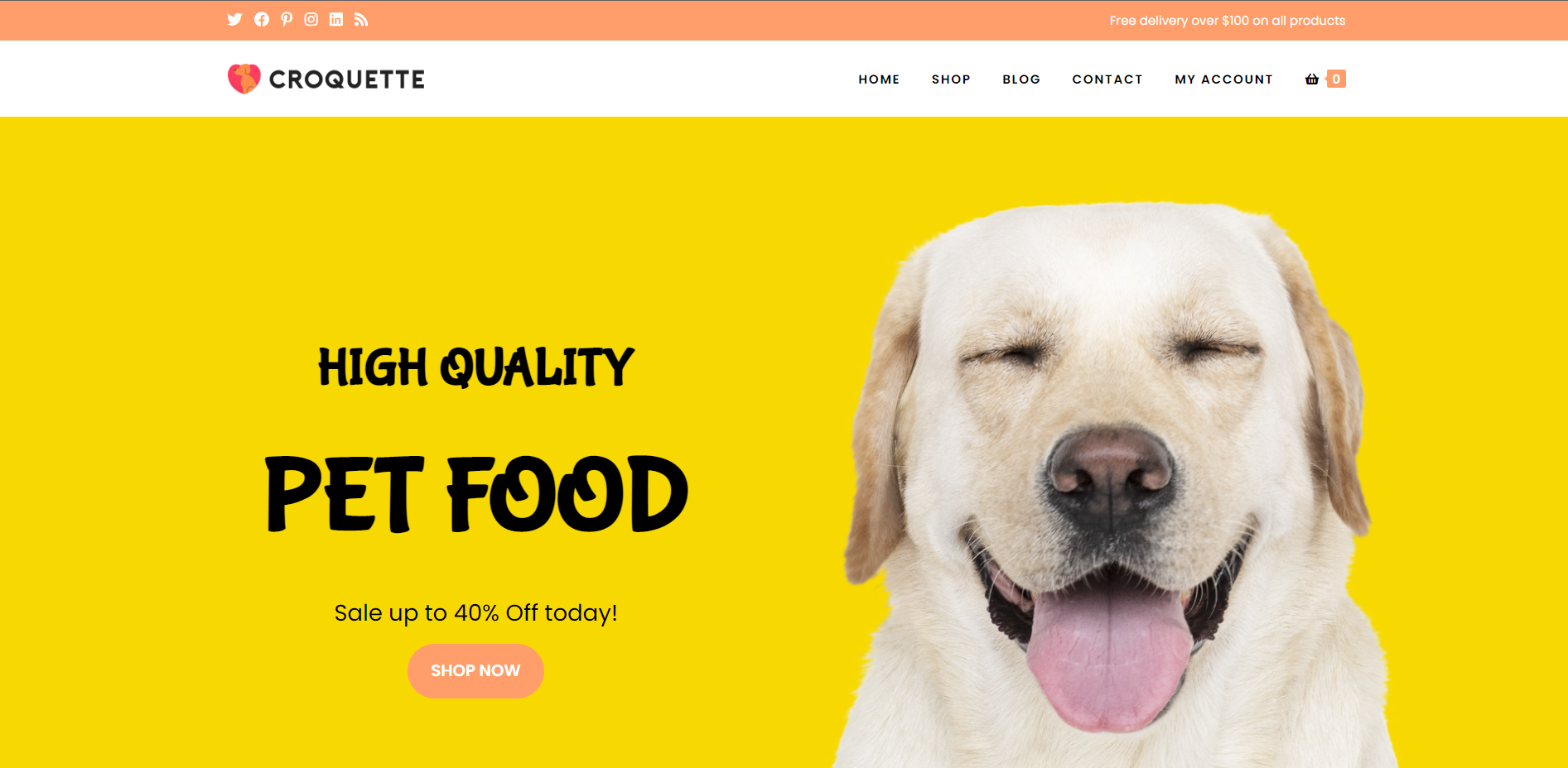 OceanWP shop theme for beginners