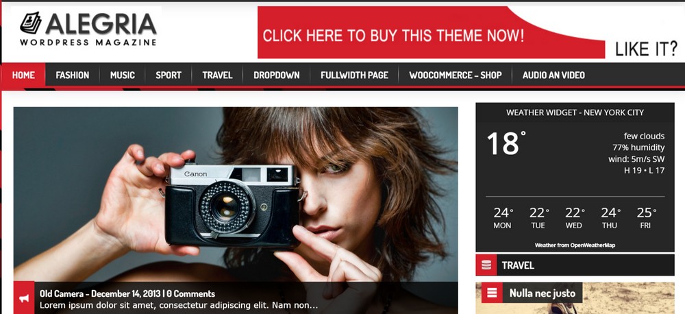 Alegria wordpress magazine