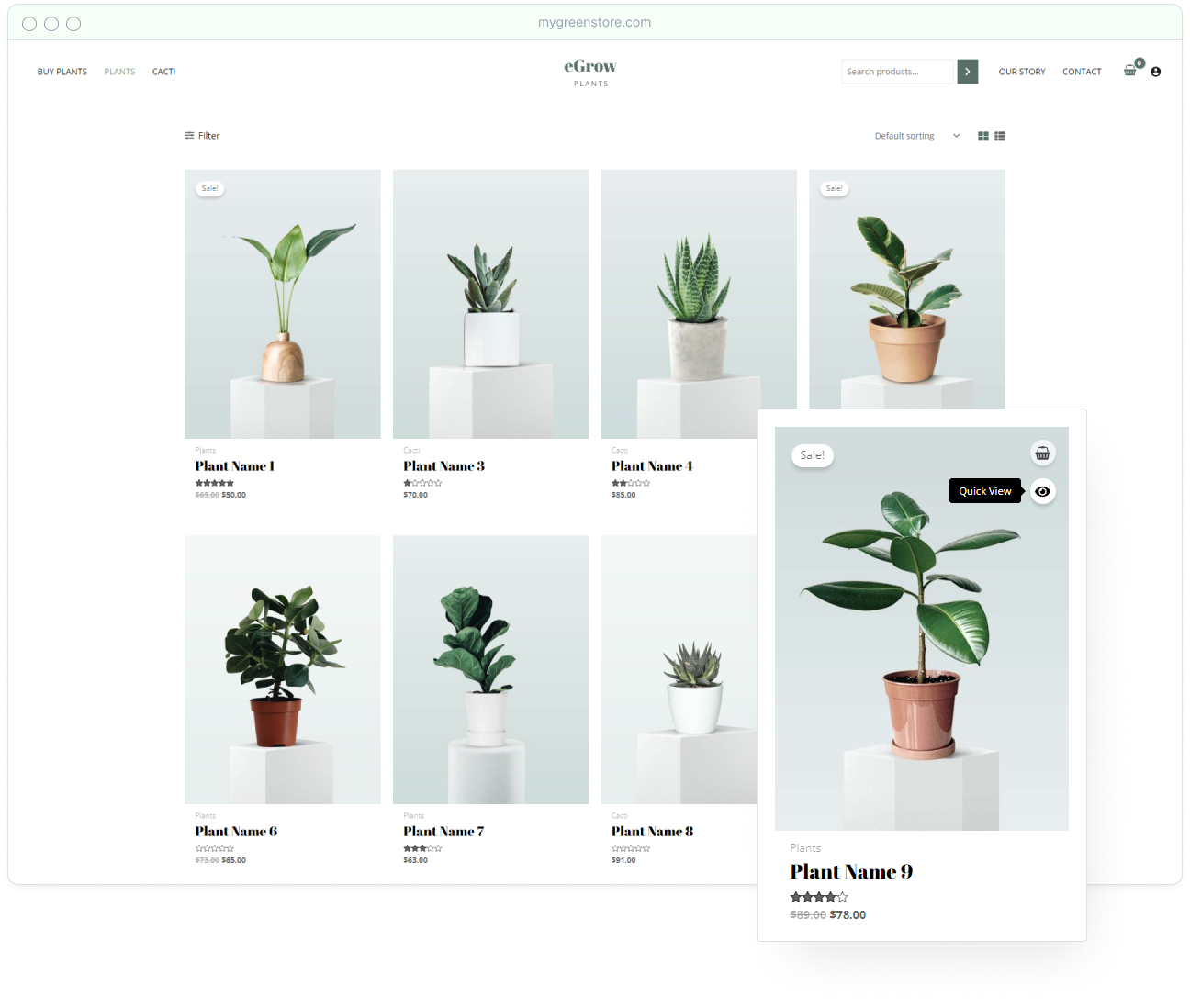 Astra 3.9 modern skin shop page