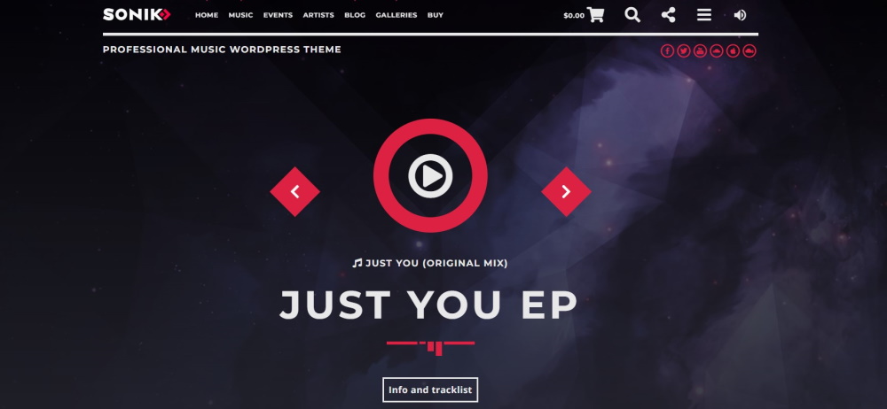 Sonik theme demo website