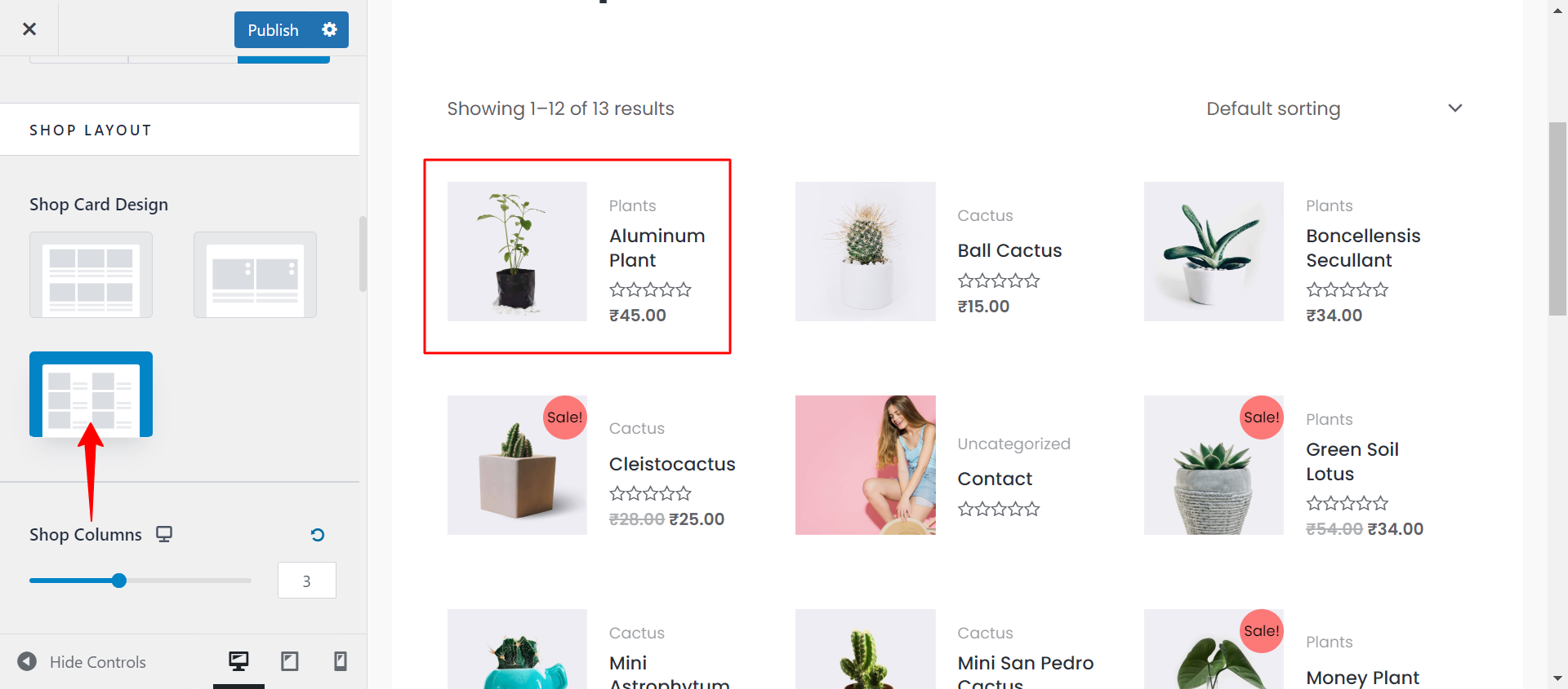 Astra WooCommerce update (version 3.9.0) Shop Page