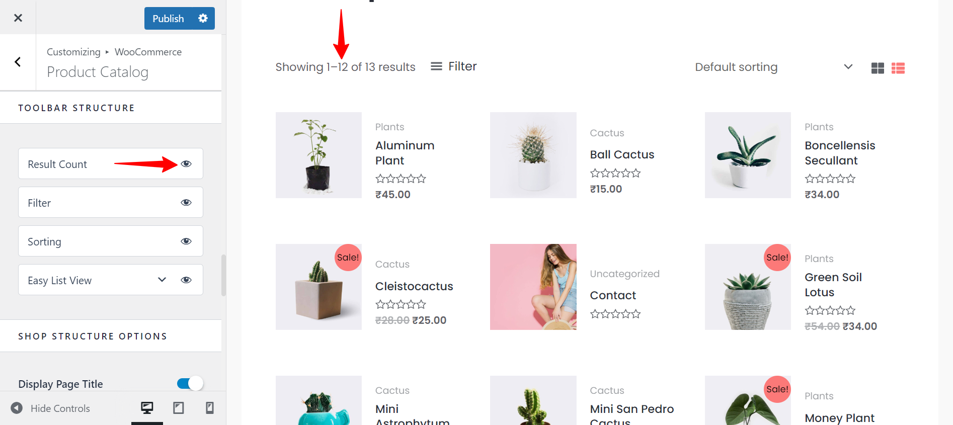 Astra WooCommerce update (version 3.9.0) Shop Page