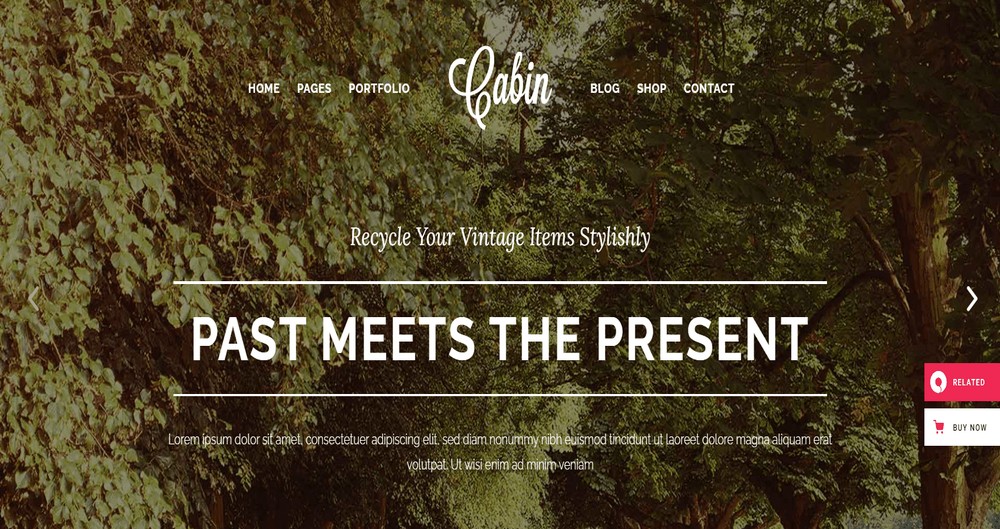 Cabin WordPress theme