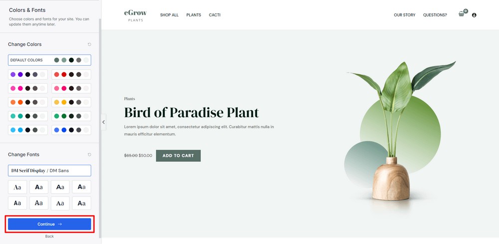 Set website fonts and color