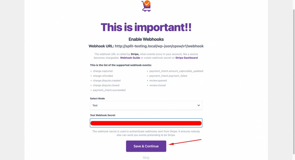 enter the Test Webhook Secret key