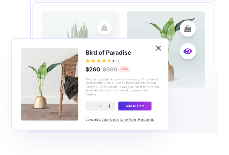 Quick-View-Feature New